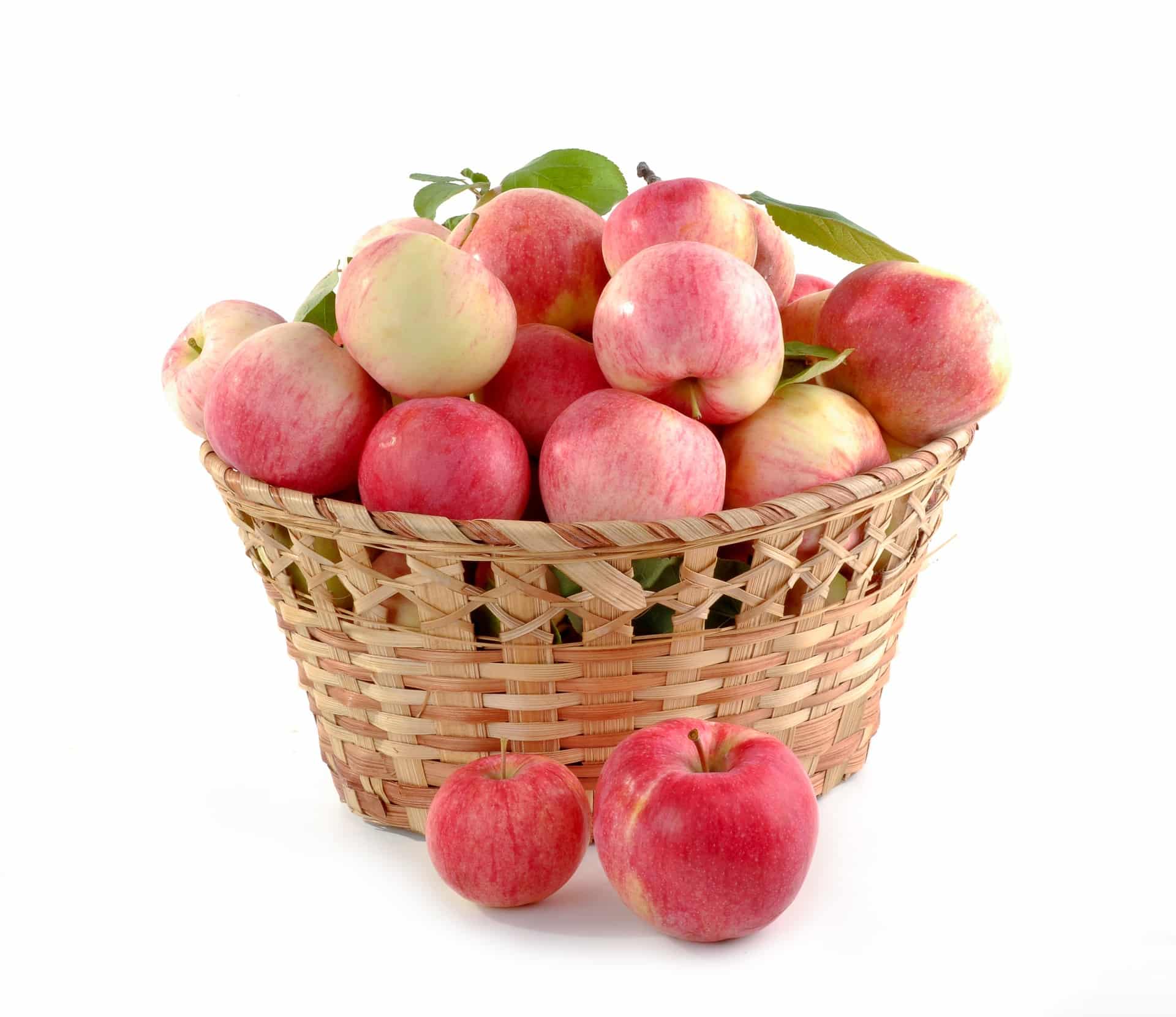 pomme automne